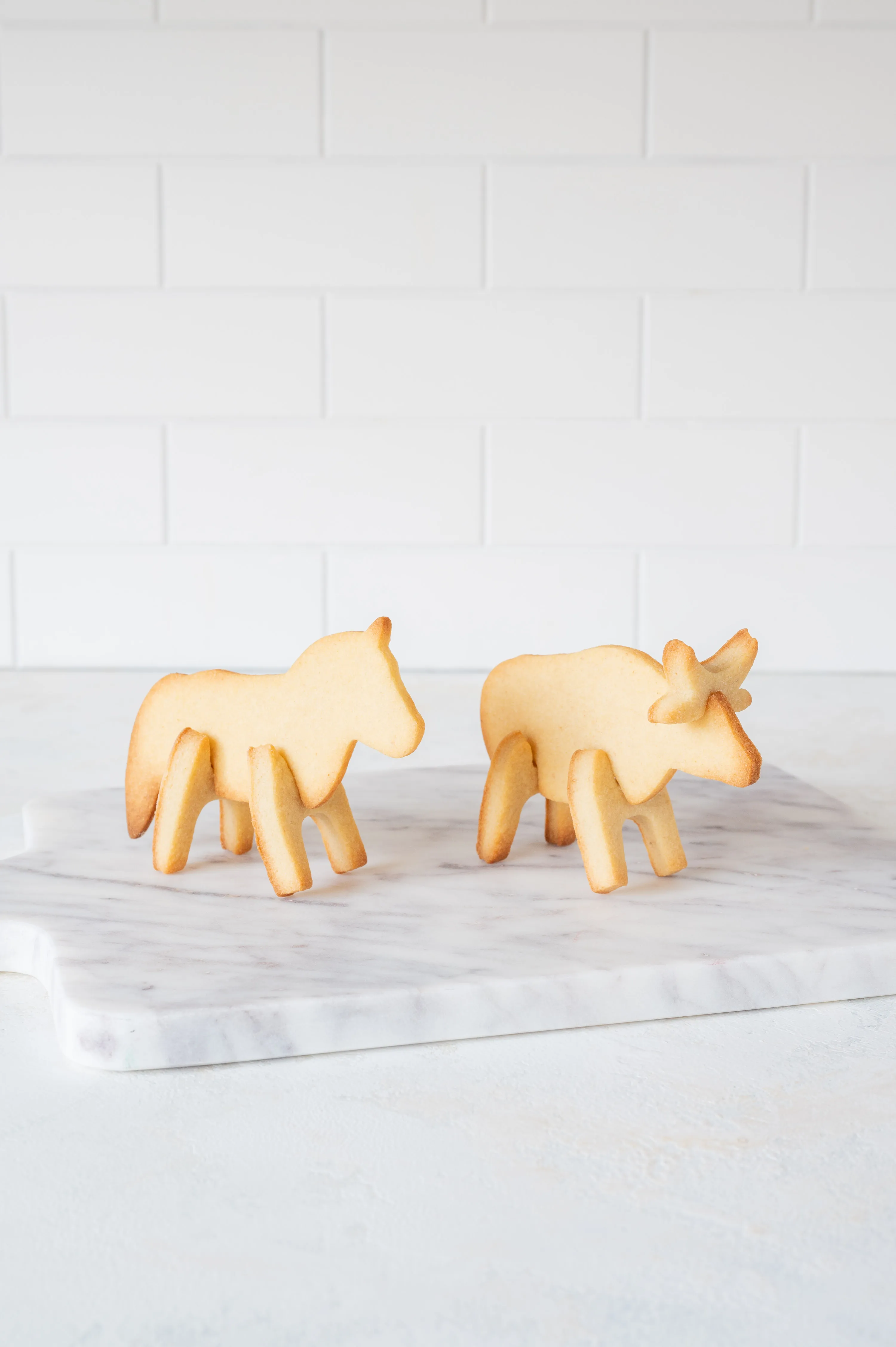 Ustvari svoje 3D piškote v obliki živalic