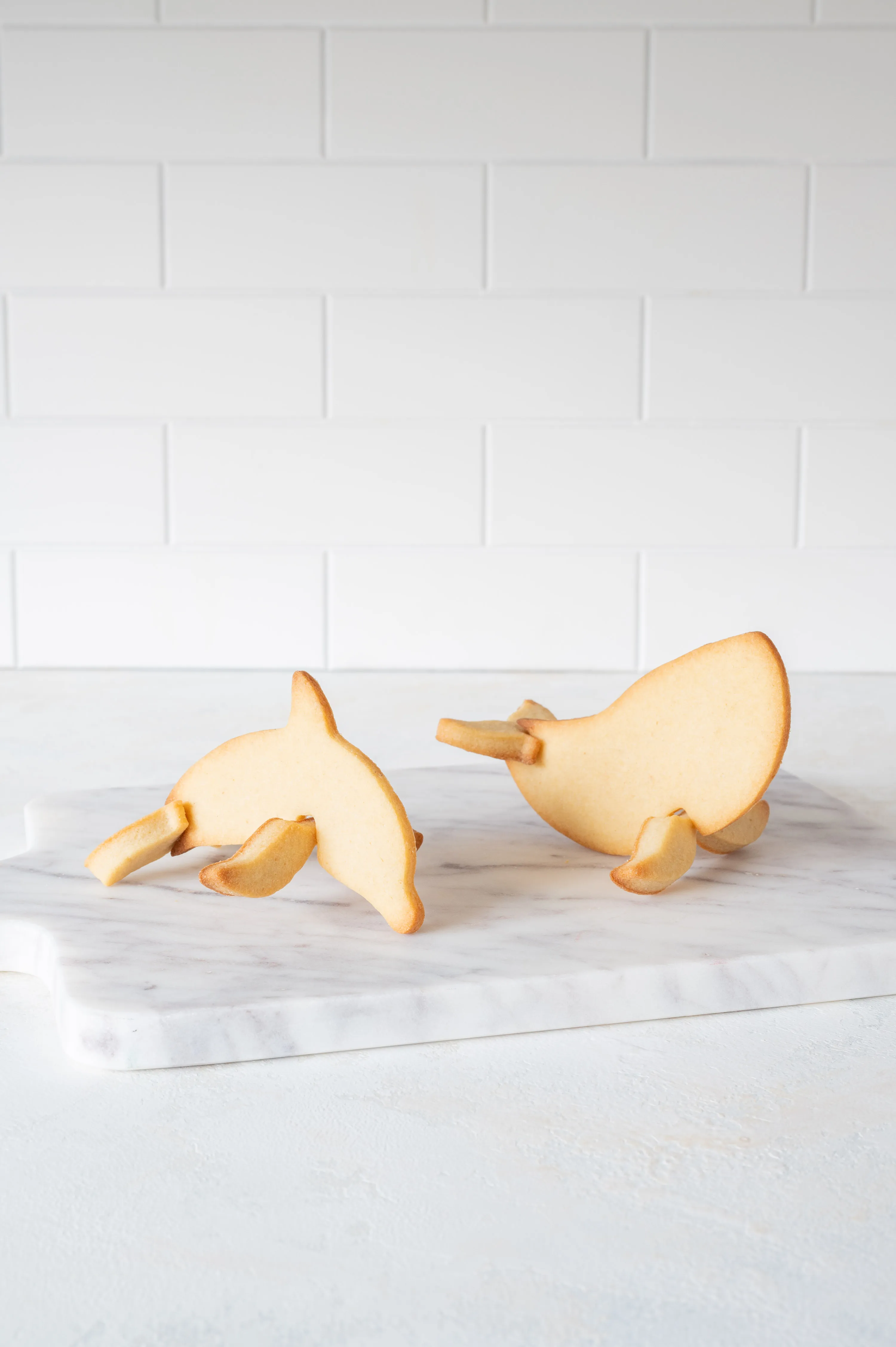 Ustvari svoje 3D piškote v obliki živalic